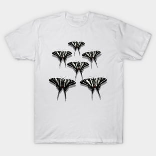 Flock of Zebra Swallowtail Butterflies with Shadows T-Shirt